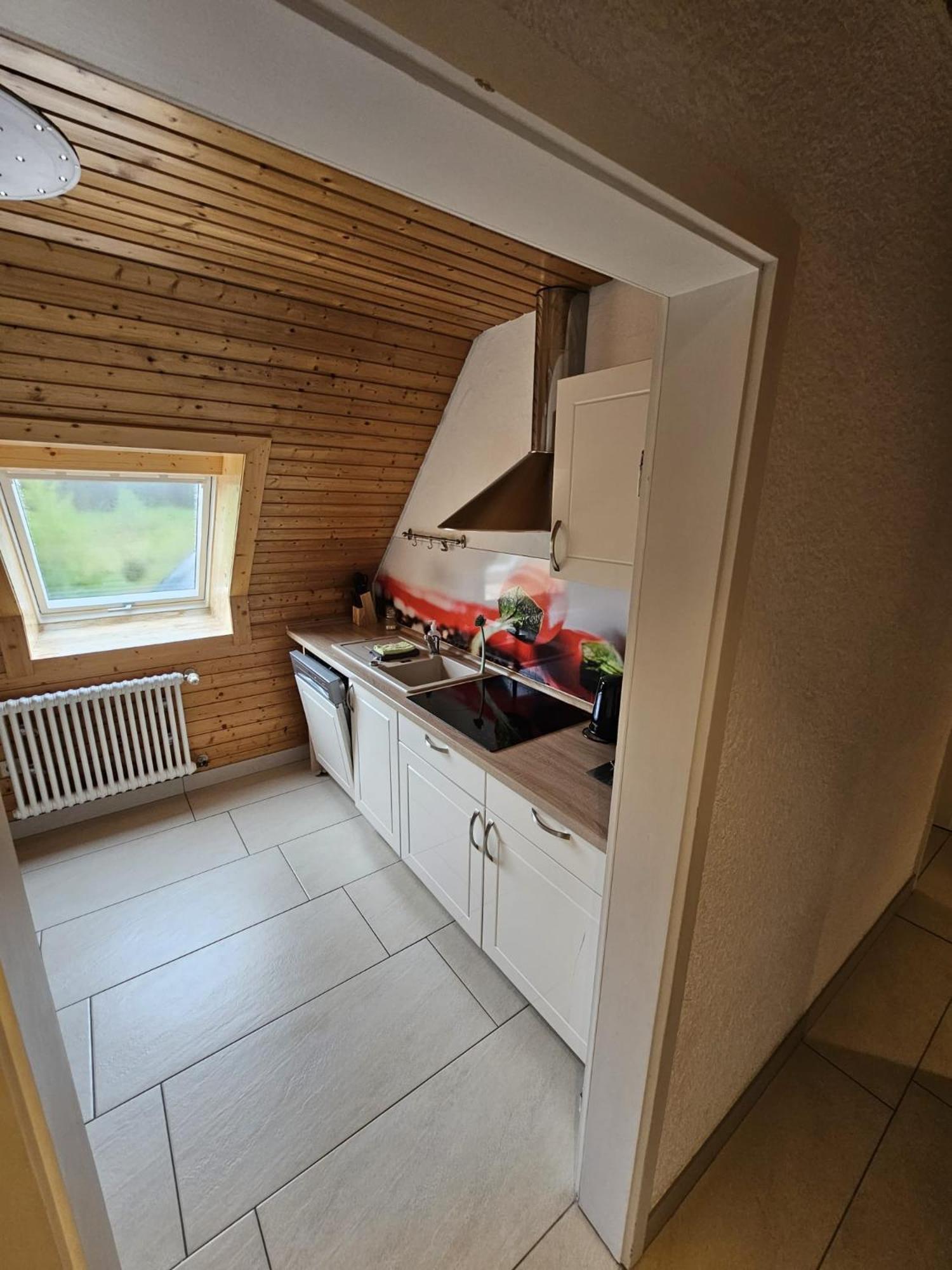 Appartamento Stuub Jostal Titisee-Neustadt Esterno foto